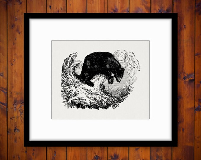 Antique Black Bear Digital Graphic Printable Animal Image Download T-Shirts Jpg Png Eps HQ 300dpi No.489