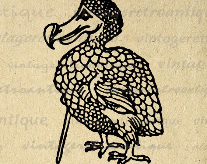 Printable Digital Dodo Bird Alice in Wonderland Graphic Image Download Antique Clip Art Jpg Png Eps HQ 300dpi No.2531