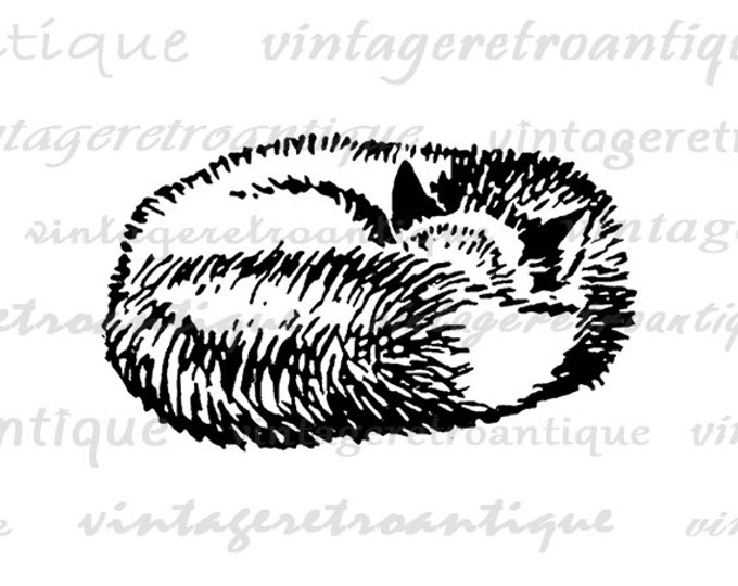 Digital Sleeping Fox Graphic Image Cute Download Animal Illustration Printable Vintage Clip Art for Transfers etc HQ 300dpi No.917