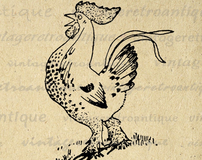 Digital Printable Rooster Download Image Graphic Illustration Vintage Clip Art Jpg Png Eps HQ 300dpi No.2371