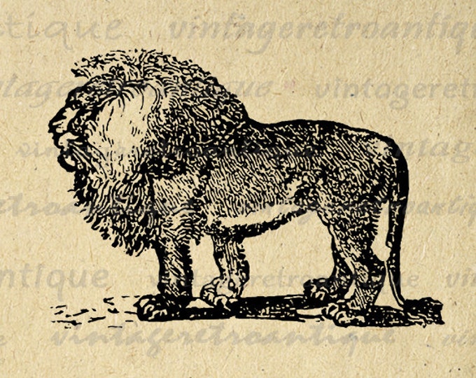 Digital Graphic Antique Lion Illustration Download Printable Image Vintage Clip Art Jpg Png Eps HQ 300dpi No.3887