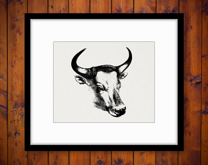 Printable Graphic Western Bull Digital Cow Steer Download Image Antique Clip Art Jpg Png Eps HQ 300dpi No.493