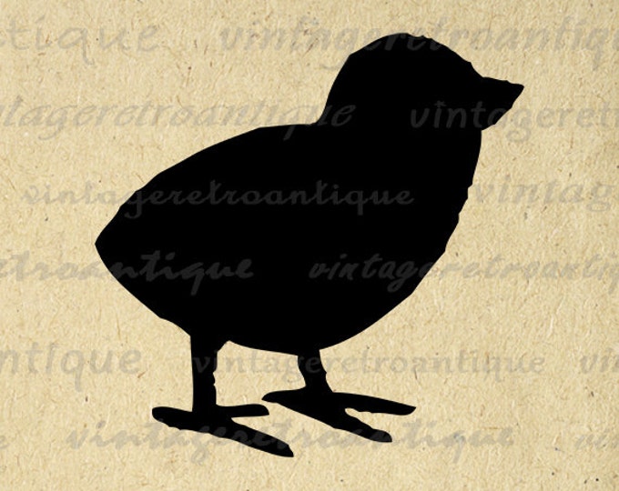Baby Bird Graphic Printable Download Chick Silhouette Image Cute Nursery Bird Digital Vintage Clip Art for Transfers etc HQ 300dpi No.4692