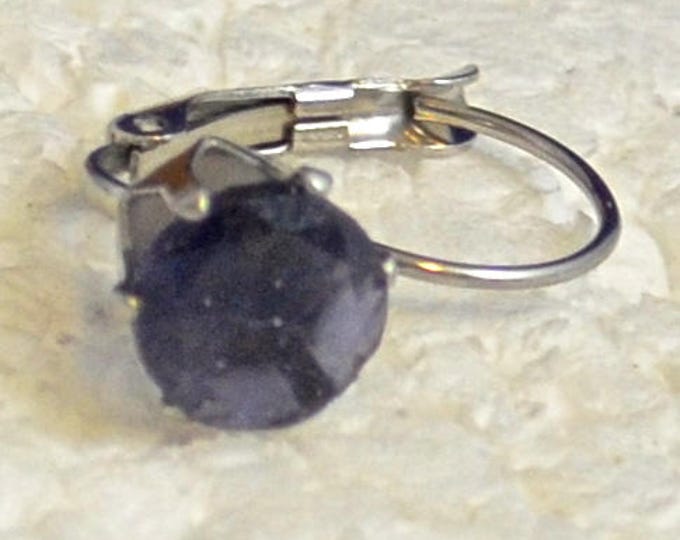 Iolite Leverback Earrings, 8mm Round, Natural, Set in Stainless Stell E1047