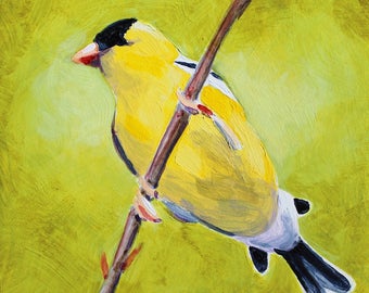 Goldfinch Bird Songbird Yellow Bird Original Bird Painting Acrylic on Board 4"x4"