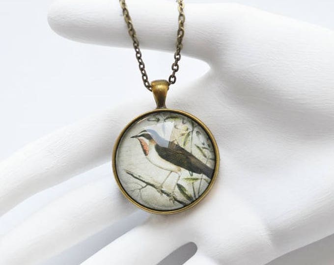VINTAGE Round pendant metal brass with depiction of birds under glass