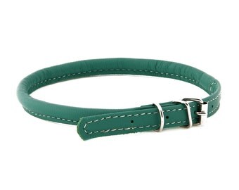 Rolled Leather Dog Collar Soft Turquoise Color Sizes XXXS XXS XS S M Long Haired Dog Breeds Cat Puppy Small Pet Mini Dog Pet Show Fashion