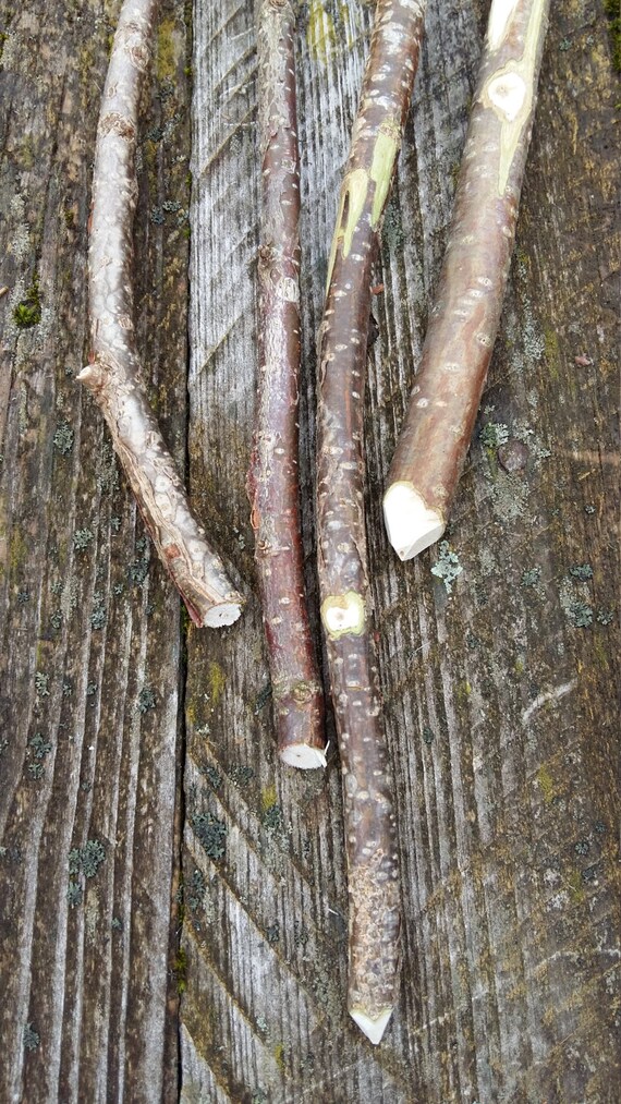 craft sticks natural wood tree branches DIY wall decor