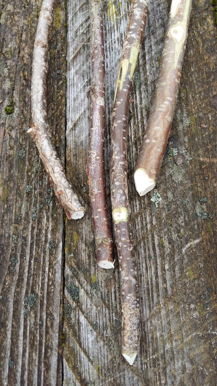 craft sticks natural wood tree branches DIY wall decor