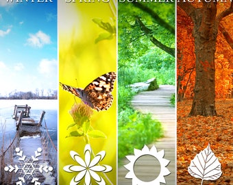 FULL YEAR AHEAD Tarot Reading 12 Months Psychic Reading Accurate Predictions Same Day by Email
