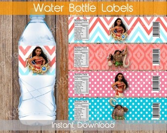 Items Similar To Princess Party Printable Water Bottle Labels Pdf On Etsy