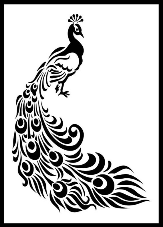 Peacock Stencil Various Sizes Small Medium Large Extra