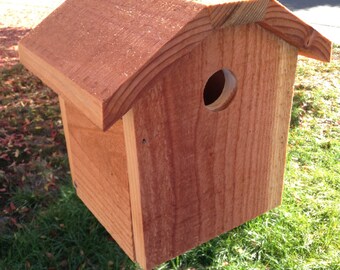 Snoopy Birdhouse