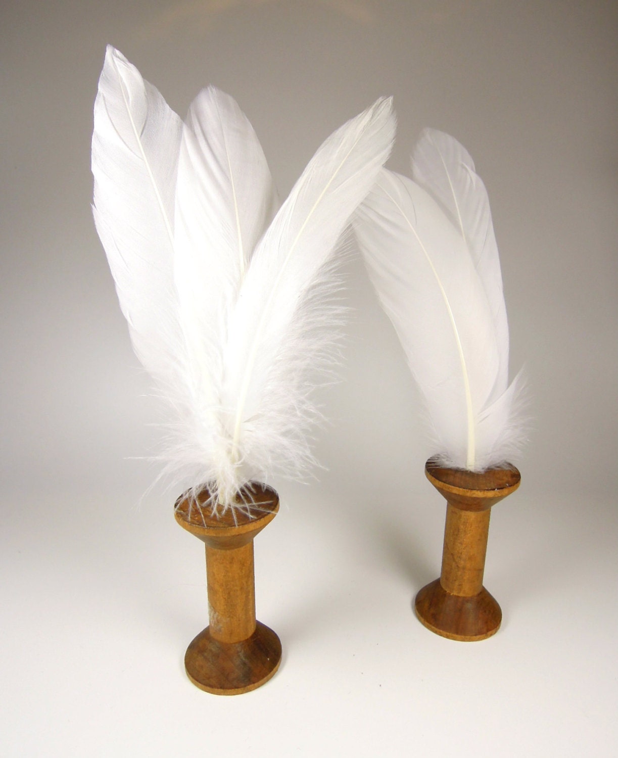 20 White feathers White quills Feathers for crafts Loose