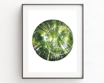 Forest Wall Print, Geometric Prints, Photo Trees, Printable Wall Art, Photography Trees, Instant Download, Forest Prints, Forest Print