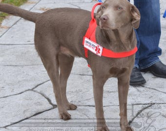 Service Dog Harness with Patches and Handle - cool, comfortable, and lightweight!