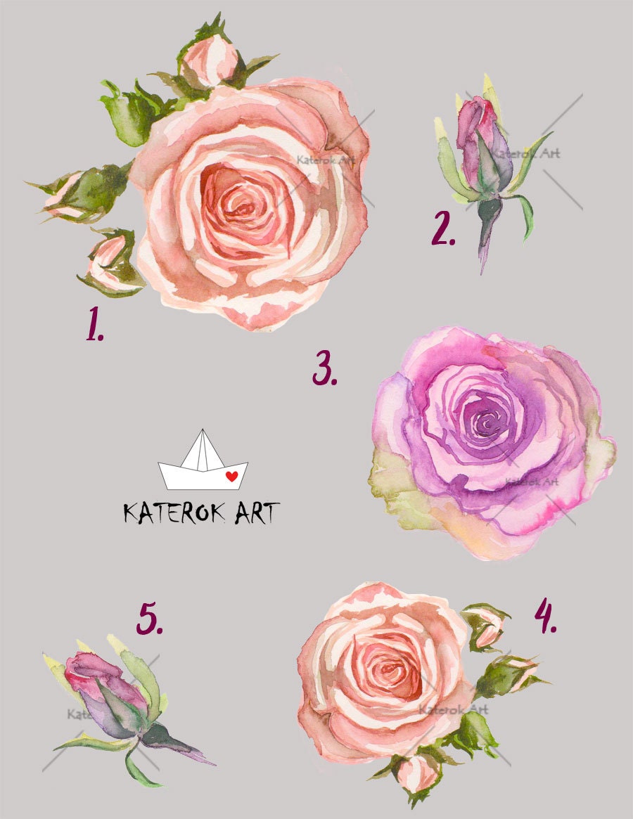 Watercolor cliparts watercolor PNG watercolor flowers