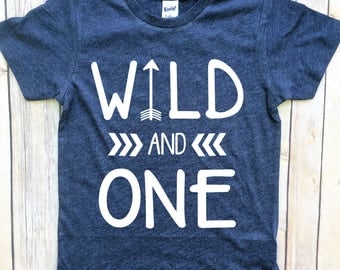 boys first birthday shirt, wild one, boys tshirt, birthday tee, toddler birthday, birthday gift for boys, one year old,