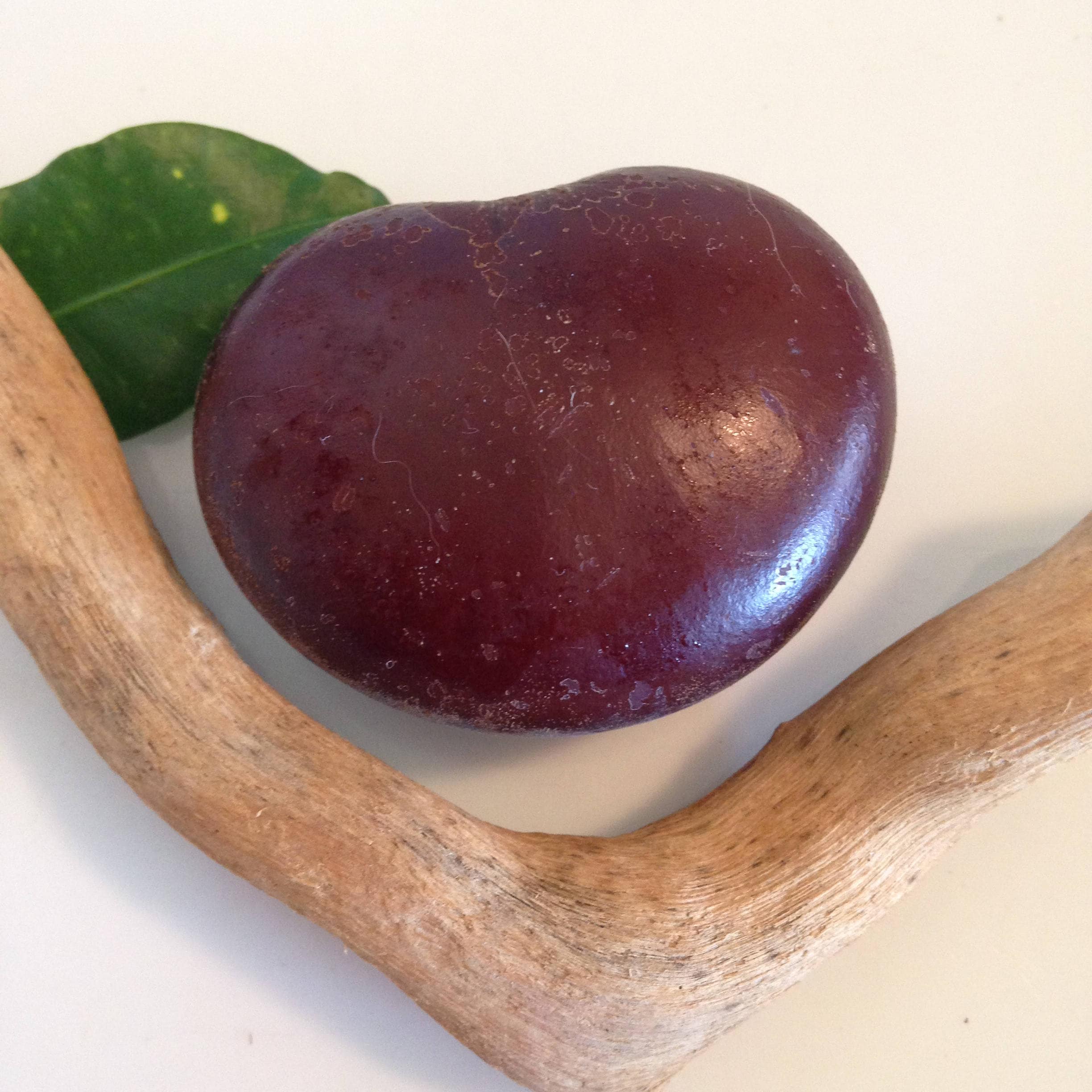 Sea Beans, Drift Seeds, Brown Hamburger, Beach Finds, Ox Eye Seeds