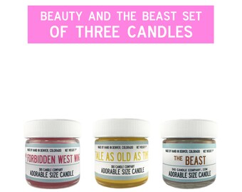 Beauty & the Beast Set of 3 Adorable Candles - Disney Candles - the Beast - Forbidden West Wing - Tale as old as time - Dio Candle Company