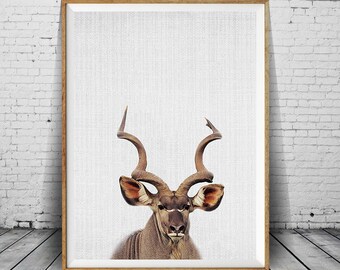 Kudu | Etsy