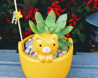 Yellow Cat planter ceramic planter succulent planter mini planter - succulent pot - home decor - office decor (FREE charm, pick, succulent)