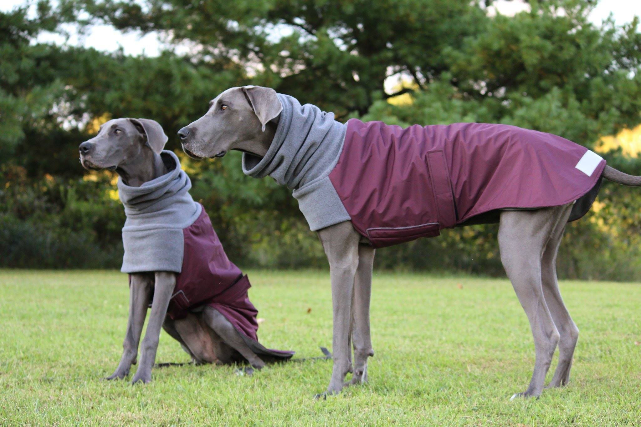 WEIMARANER Winter Dog Coat Dog Coat Winter Coat Dog