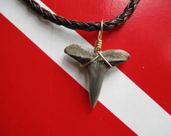 Shark Tooth Necklace, Lemon Shark fossil, Venice-Florida, 18" Braided leather, Brass wire wrapped