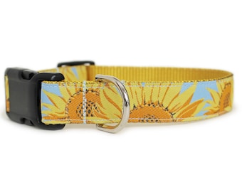 Sunflower Dog Collar, Can be Personalized, Reflective or Engraved Aluminum Buckle, Girl Dog Collar, Light Blue, Big Dog Collar - Sunflowers