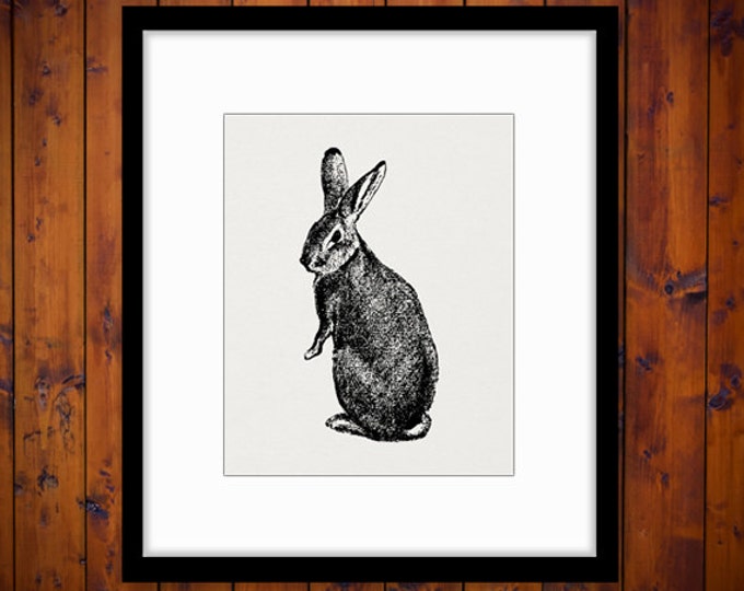 Rabbit Digital Image Rabbit Graphic Cute Animal Bunny Printable Easter Spring Nursery Download Antique Clip Art Jpg Png Eps HQ 300dpi No.334