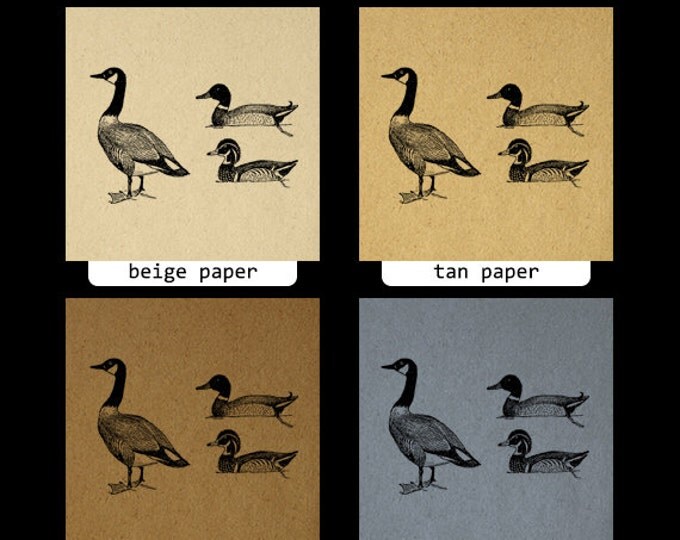 Digital Printable Ducks and Goose for Download Graphic Image Vintage Clip Art Jpg Png Eps HQ 300dpi No.1081