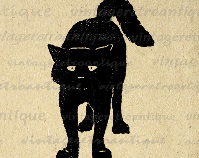 Digital Graphic Black Cat Download Kitten Image Halloween Printable Vintage Clip Art Jpg Png Eps HQ 300dpi No.063