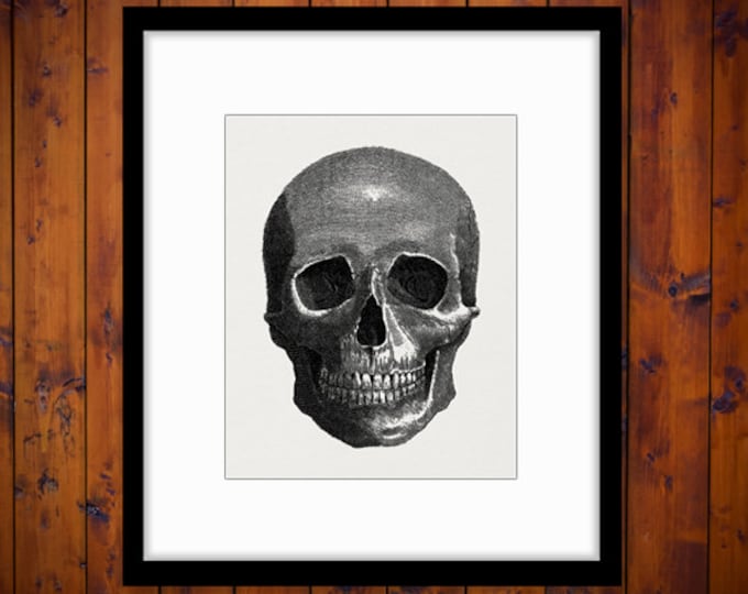 Skull Digital Graphic Download Image Illustration Printable Artwork Jpg Png Eps HQ 300dpi No.2145