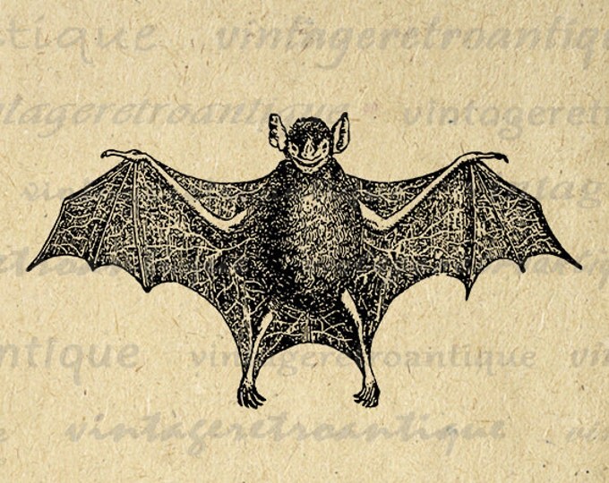 Printable Bat Graphic Download Antique Bat Illustration Image Digital Vintage Clip Art Jpg Png Eps HQ 300dpi No.3924