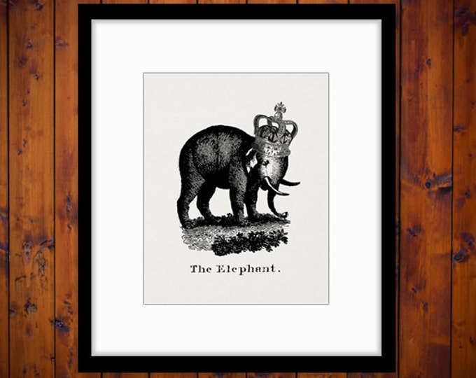 Elephant with Crown Digital Printable Image Antique Illustration Download Graphic Vintage Clip Art Jpg Png Eps HQ 300dpi No.1080