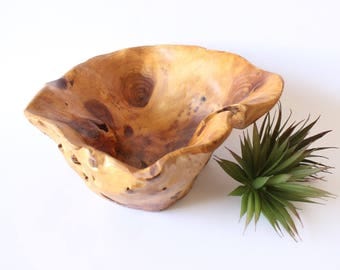 Large Wooden Bowl Raw Primitive Bowl Live Edge Fruit Bowl Serving Bowl