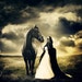 spiritedhorses