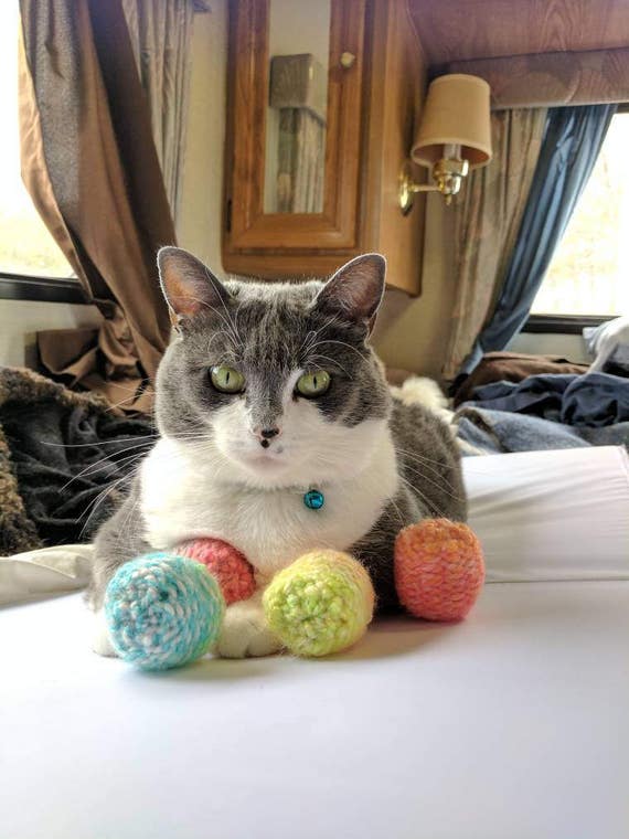 holiday cat toys