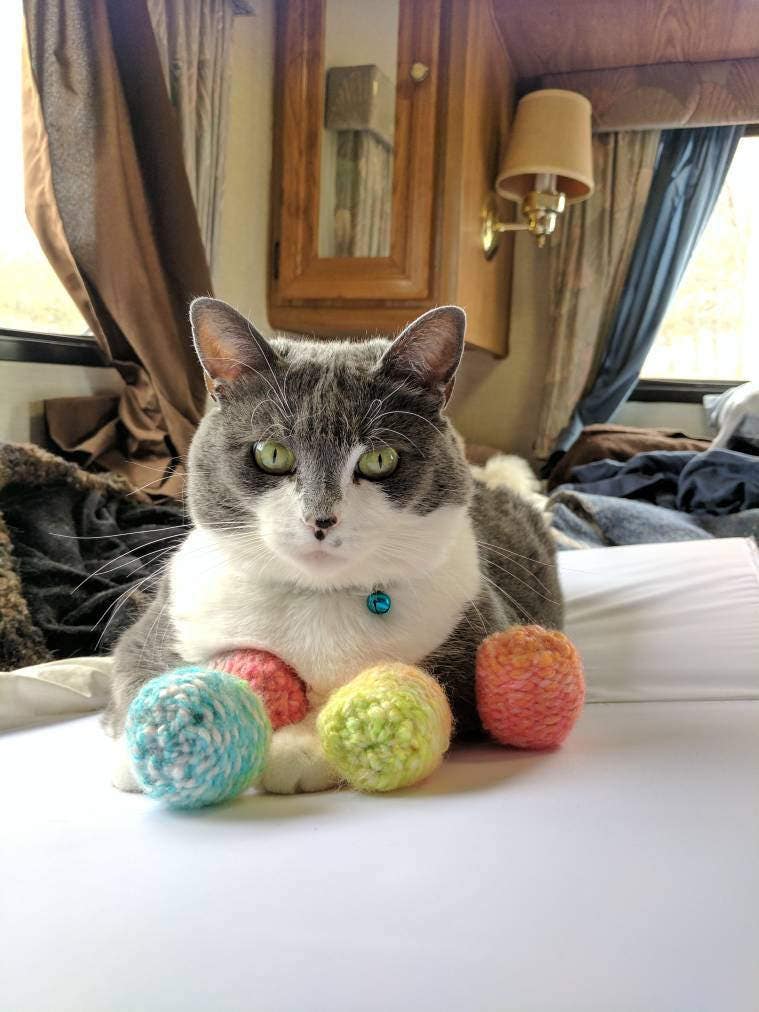 egg cat plush