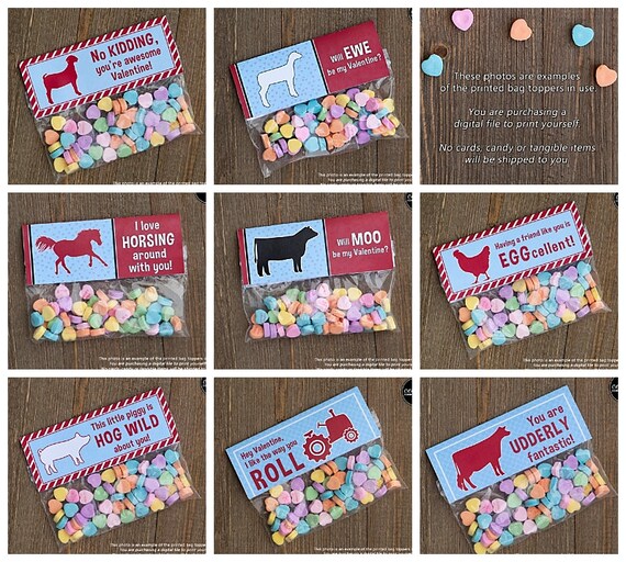 PRINTABLE Farm and Ranch Assortment Valentine Treat Bag