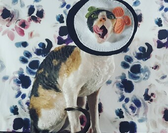 Sushi pet costume hat for cats dogs and pets of all sizes