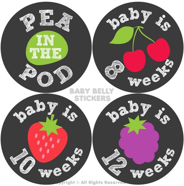 Pregnancy Stickers Maternity Stickers Bi-Weekly Pregnancy
