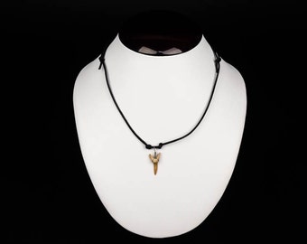 Fossil Shark Tooth Necklace