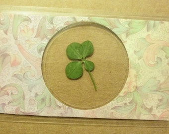 Real four leaf clover wallet card/bookmark