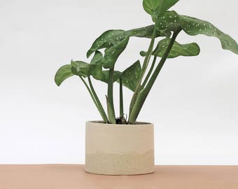 White ceramic planter pot / speckled planter / speckled pottery pot / White home decor / matte white pottery / contemporary ceramics