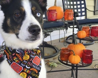 Happy Halloween Dog Bandana