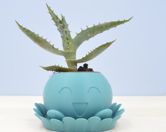 Oddish Planter/planter with saucer/3D planter/Aqua air plant/Pokemon planter/indoor planter/saucer and drainage/Mini planter/cactus planter