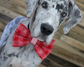 Great dane clothes | Etsy