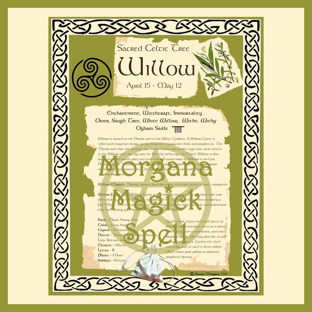 WILLOW CELTIC SACRED Tree Digital Download Book of Shadows