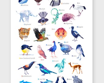 New Zealand Alphabet, T is for Tui, Alphabet classroom poster, ABC Poster, New Zealand art, Nursery alphabet poster, Children's alphabet art